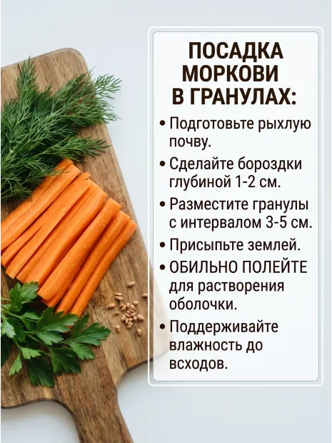 Морковь драже Лосиноостровская 13 семена 