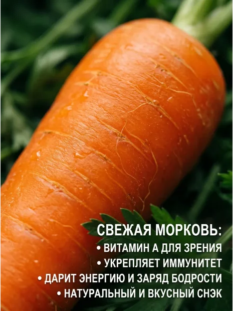Морковь драже Лосиноостровская 13 семена 