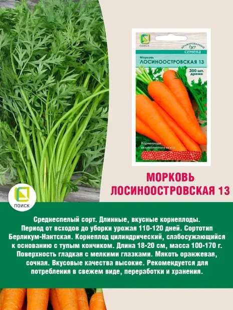 Морковь драже Лосиноостровская 13 семена 