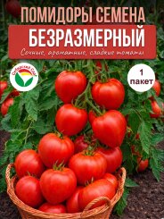 Томат Безразмерный