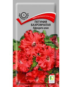 Петуния бахромчатая Афродита алая Петуния бахромчатая Афродита алая