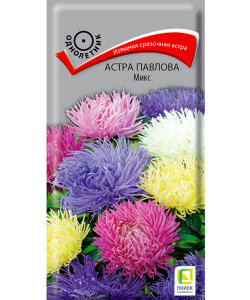 Астра Павлова Микс