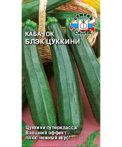 Кабачок Блэк цуккини Кабачок Блэк цуккини