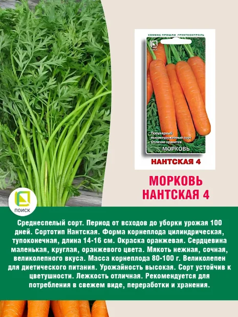 Морковь Нантская 4 семена 