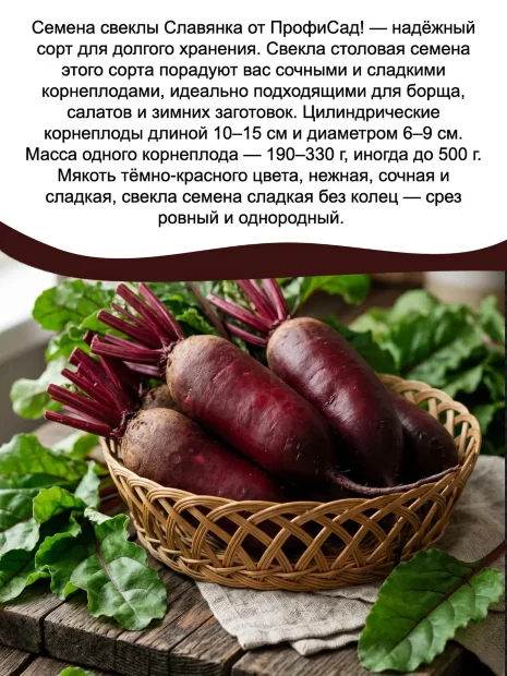 Свекла Славянка  семена 