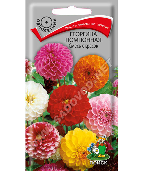 Георгина помпонная Смесь окрасок семена