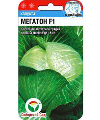 Капуста Мегатон F1 (белокочанная) Капуста Мегатон F1 (белокочанная)
