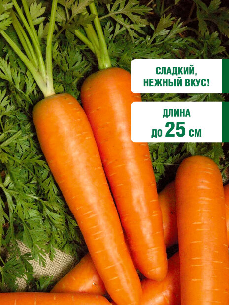 Морковь Сластена Сибирико F1 семена 