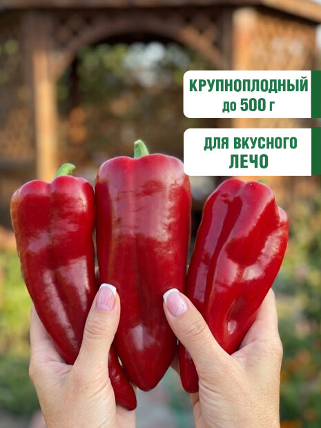 Перец сладкий Здоровяк семена 