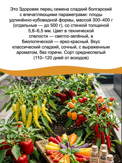 Перец сладкий Здоровяк семена 