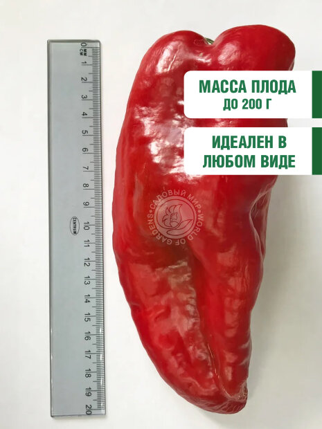 Перец сладкий Богатырь семена 