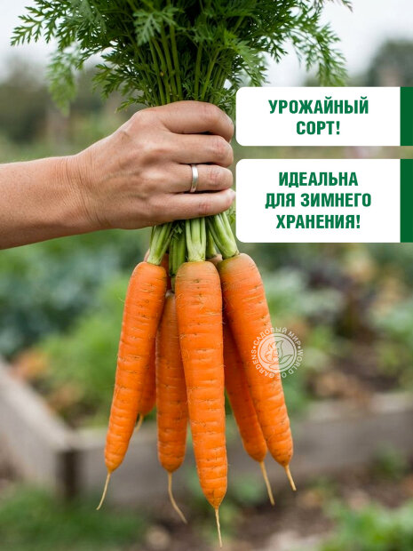 Морковь на ленте Витаминная 6 семена 