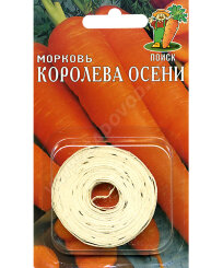 Морковь на ленте Королева осени